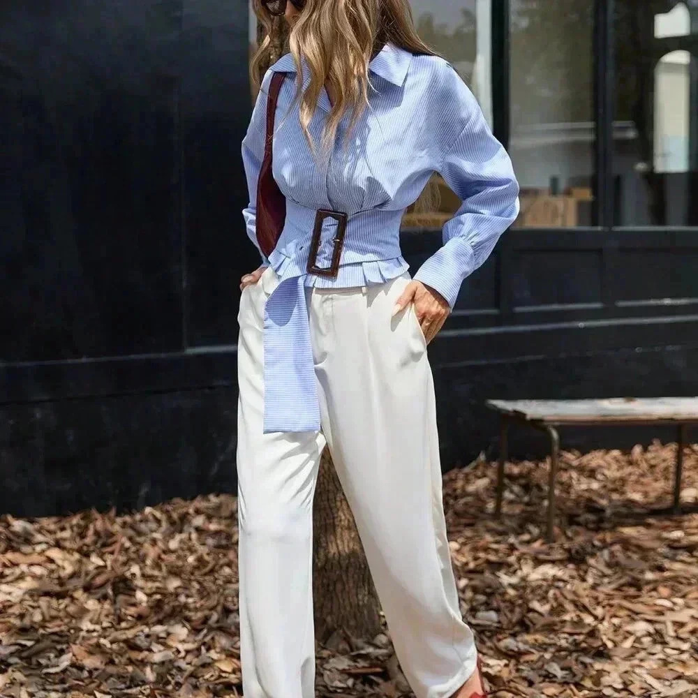 Multicolor Elegant Women's Pleated Waist Slimming Puff Sleeve Striped Blouse